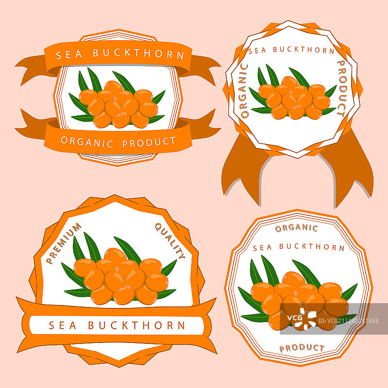 沙棘主题图片素材