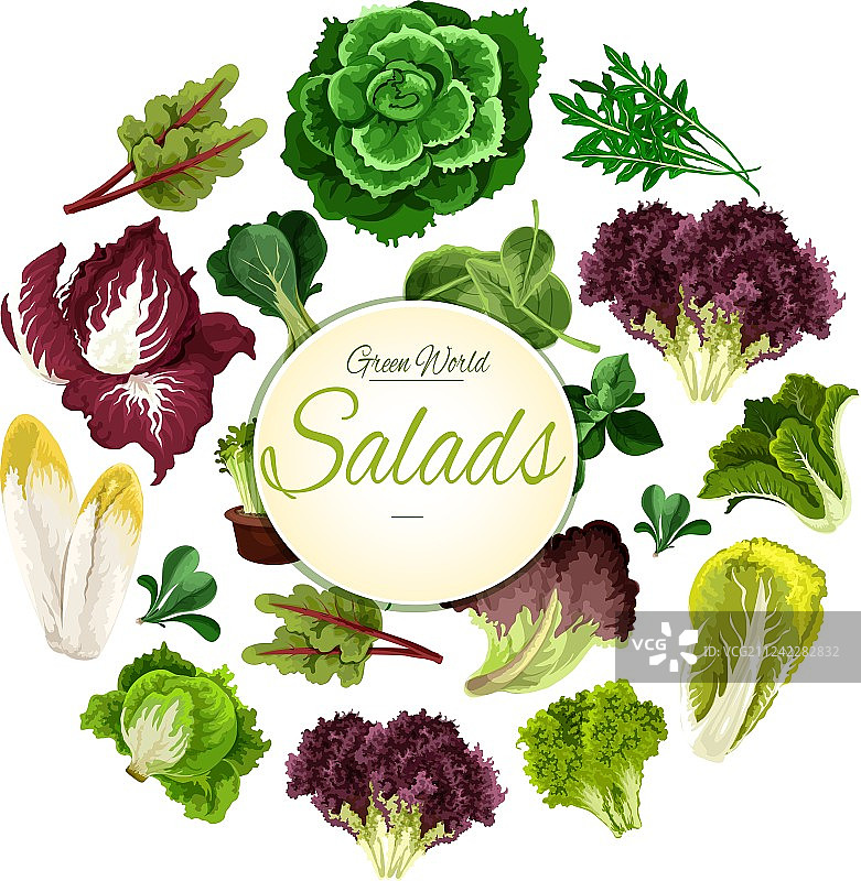 绿色多叶蔬菜沙拉海报图片素材