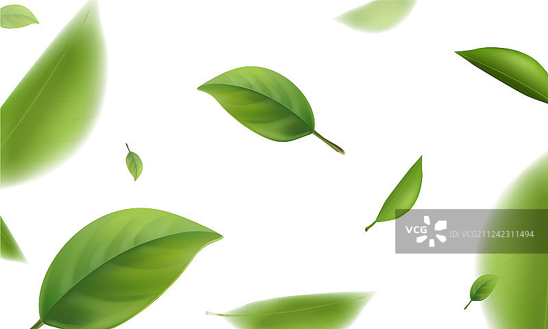 白色背景中飞舞的模糊绿叶图片素材