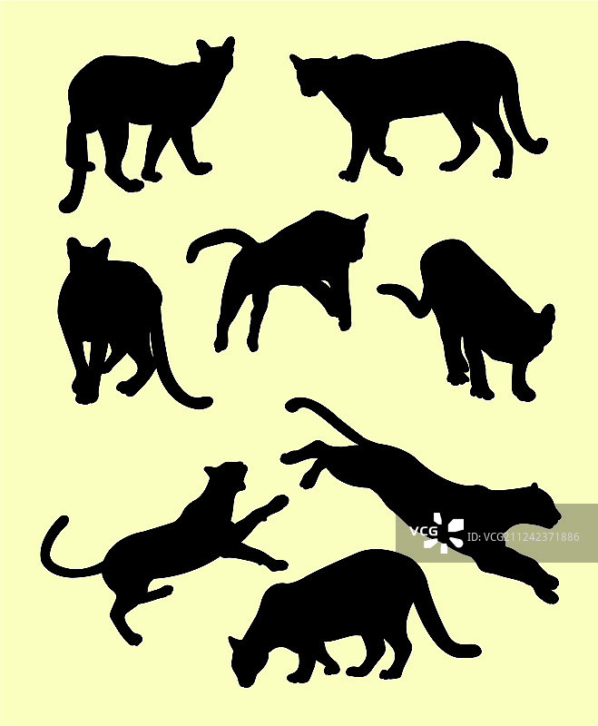 美洲狮动物剪影图片素材