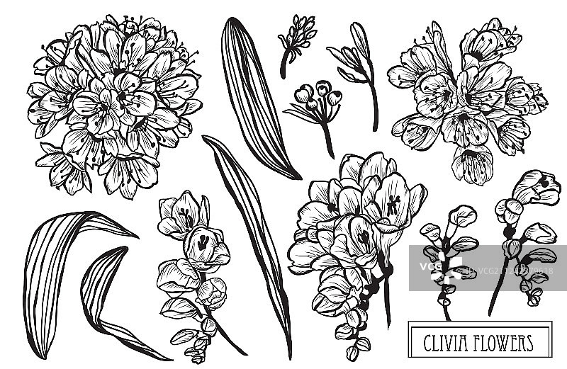 手绘花卉装饰图片素材