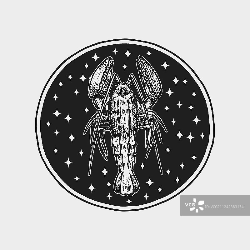 带符号的巨蟹座生肖星座图标图片素材