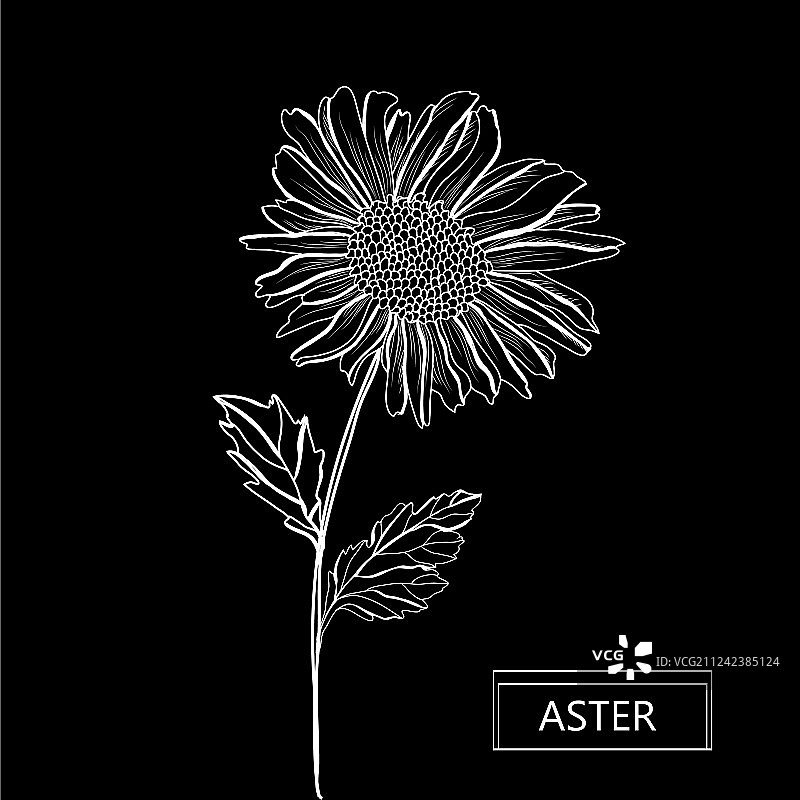 手绘花卉装饰图片素材