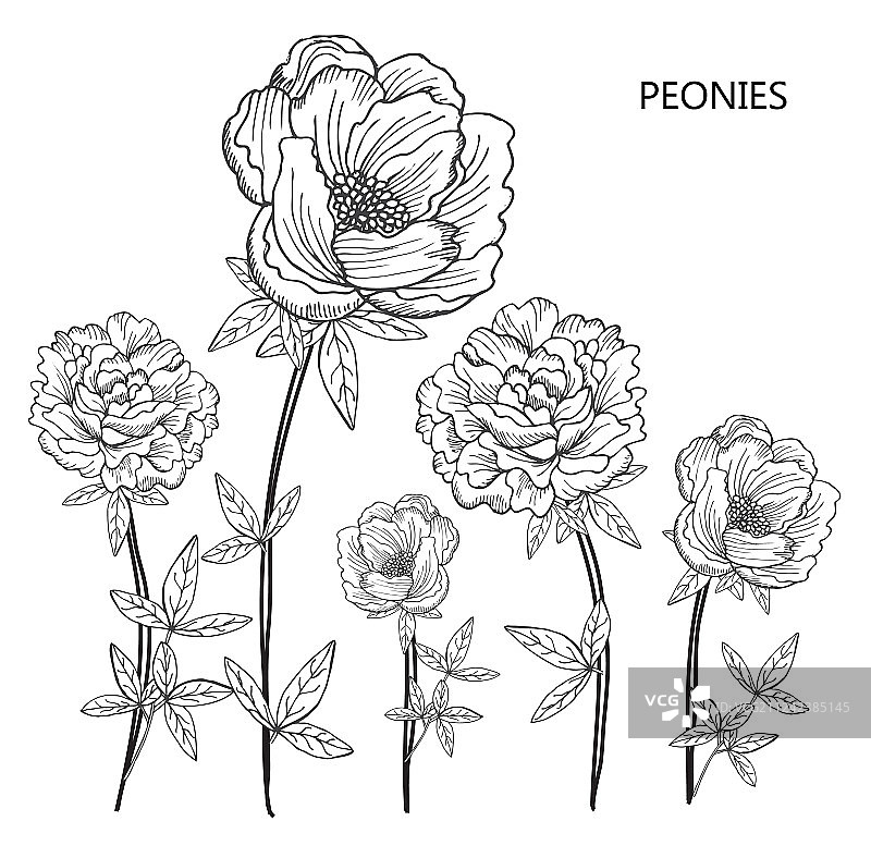 手绘花卉装饰图片素材