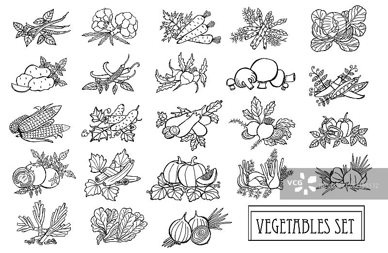 手绘水果套装图片素材