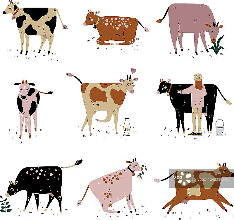 奶牛养殖图片素材