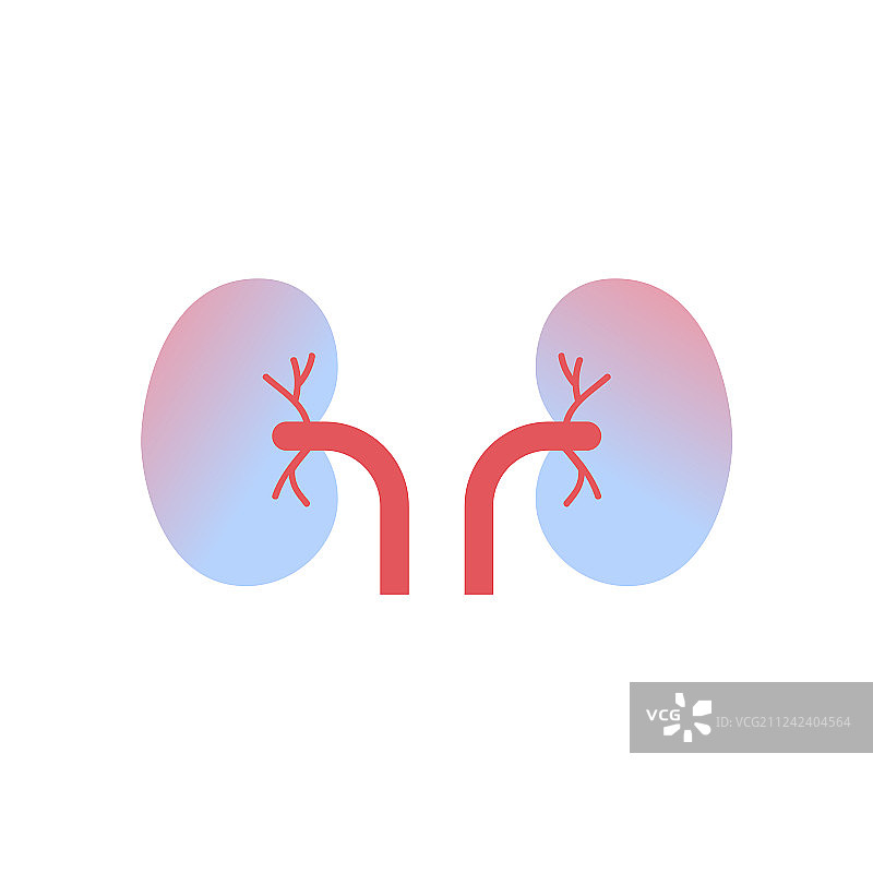 肾脏图标：人体器官解剖医疗保健图片素材