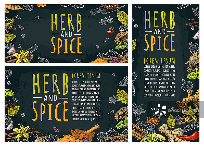 草药和香料手写字体套装图片素材