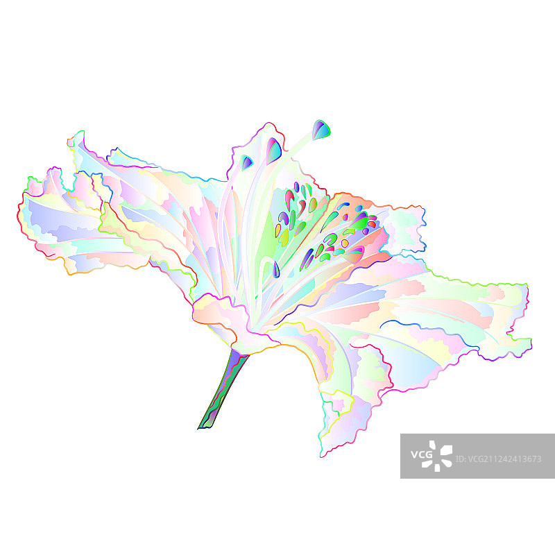 多色映山红花朵图片素材