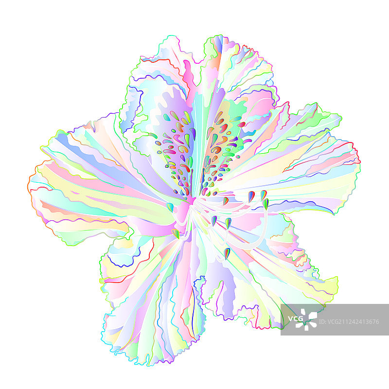 多色映山红花卉图片素材