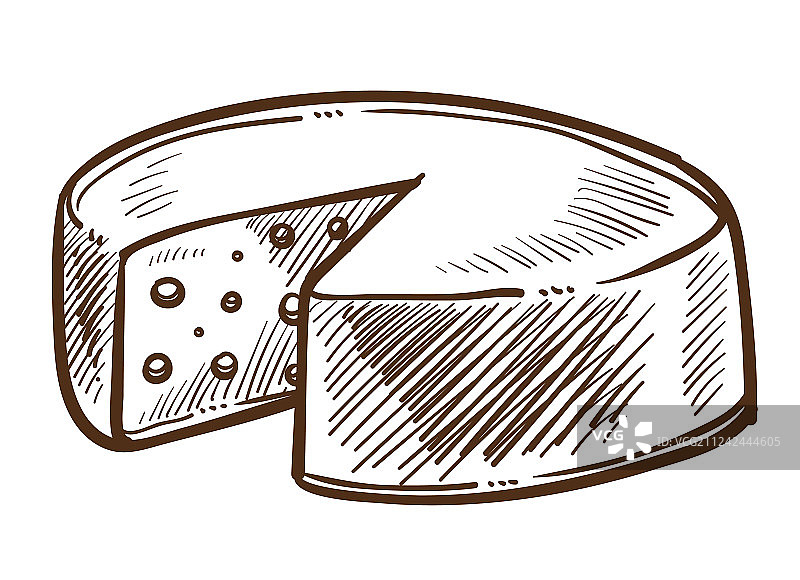 奶酪素描食品图片素材