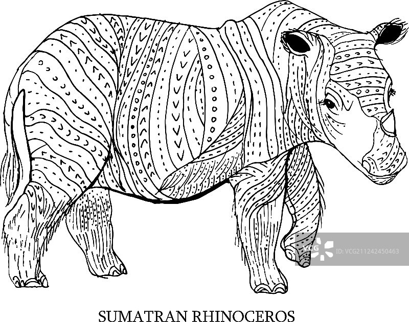 苏门答腊犀牛稀有动物保护图片素材
