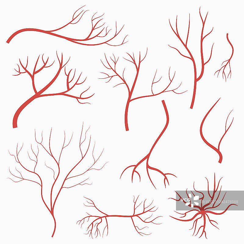 眼睛静脉和动脉红色血管图片素材