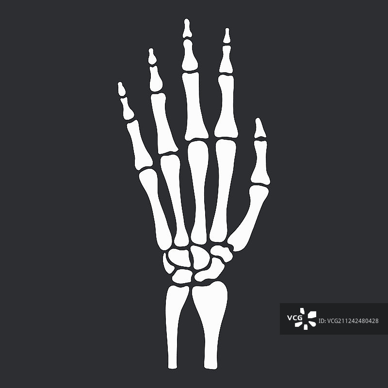 骨骼手图片素材