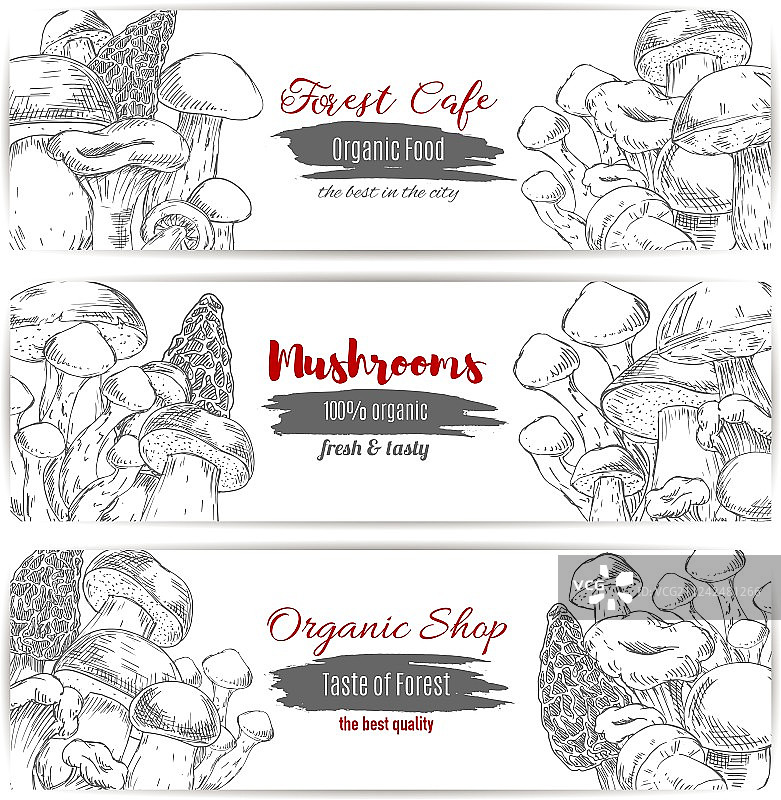 蘑菇素描有机商店banner图片素材