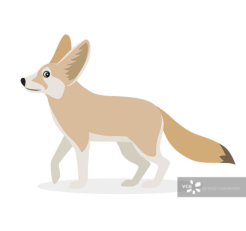 非洲动物可爱耳廓狐图标，白色背景图片素材