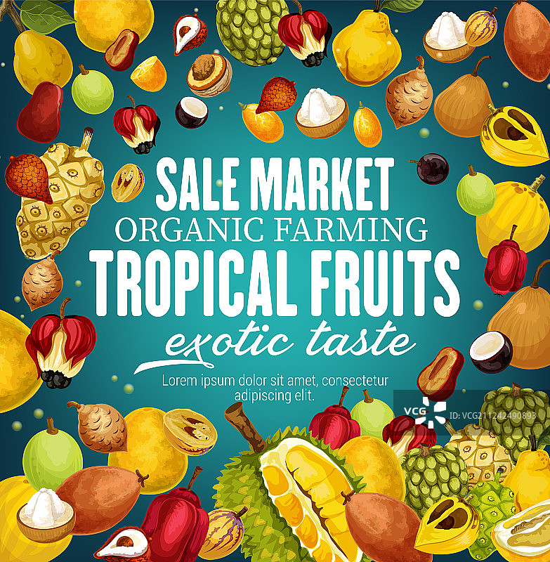 热带水果美食图片素材