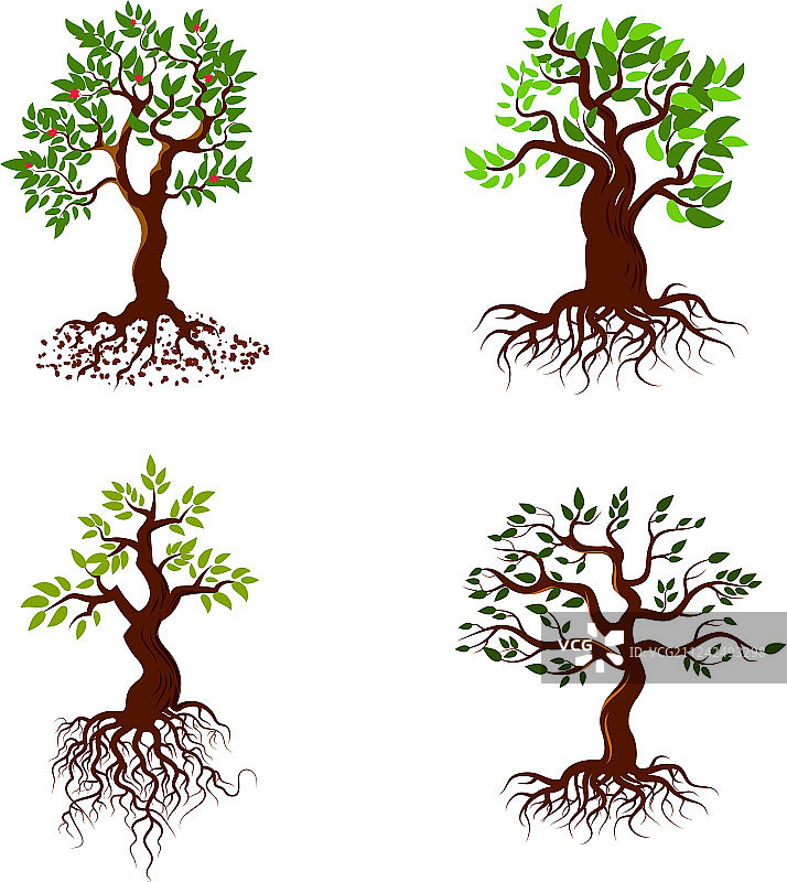 绿叶树木和树根图片素材