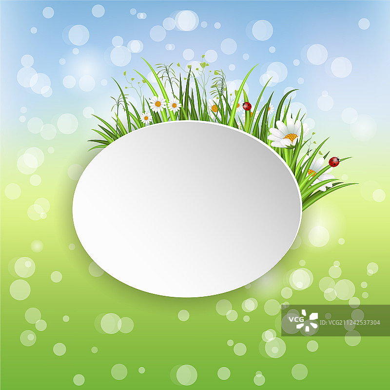 盛开甘菊的春季banner图片素材