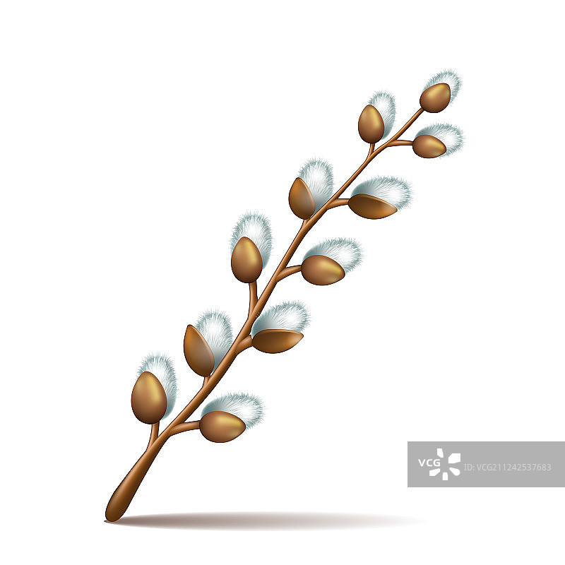 复活节开花的春季小树枝图片素材