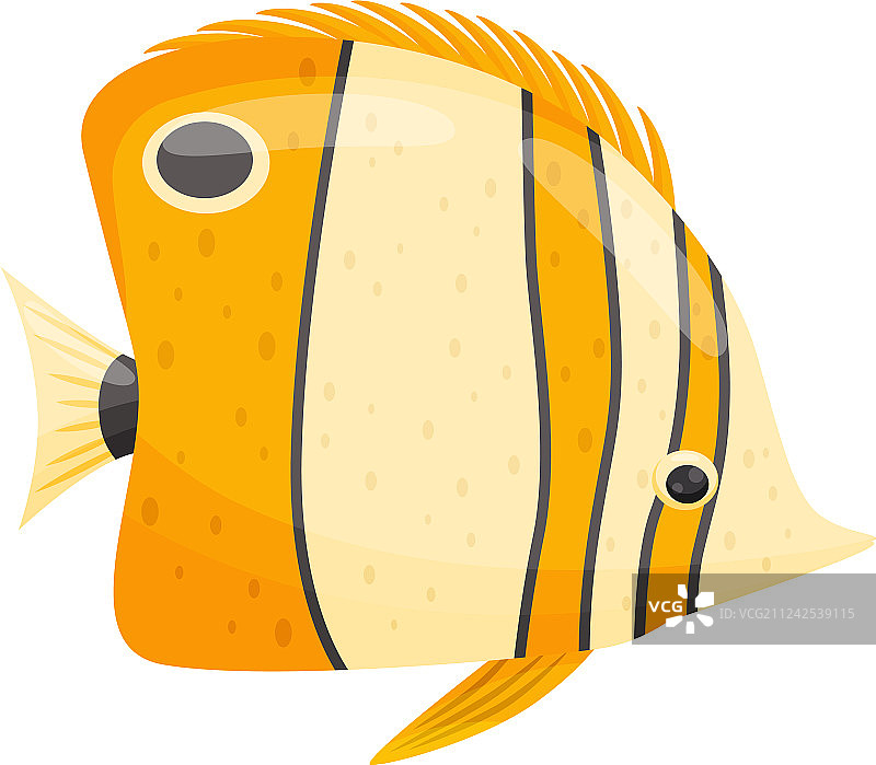 白色背景上的卡通热带鱼图片素材