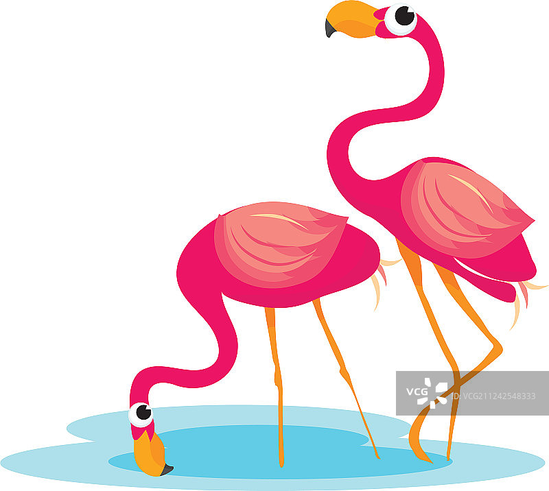 粉色火烈鸟群图片素材