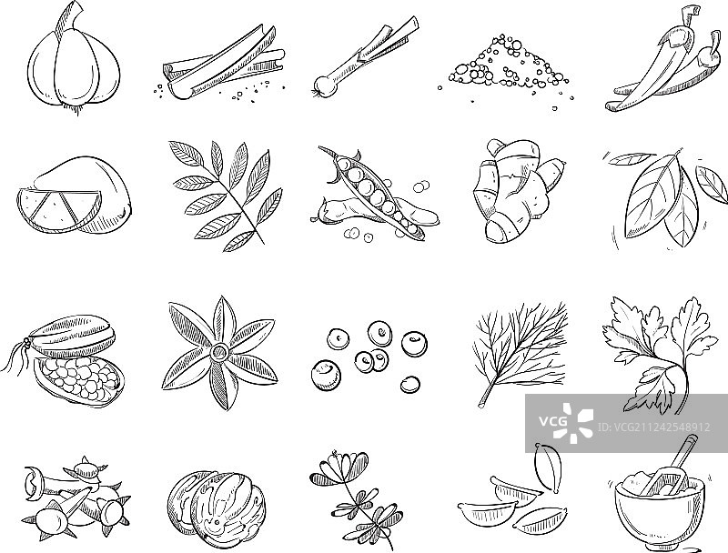 手绘香料草药涂鸦图片素材