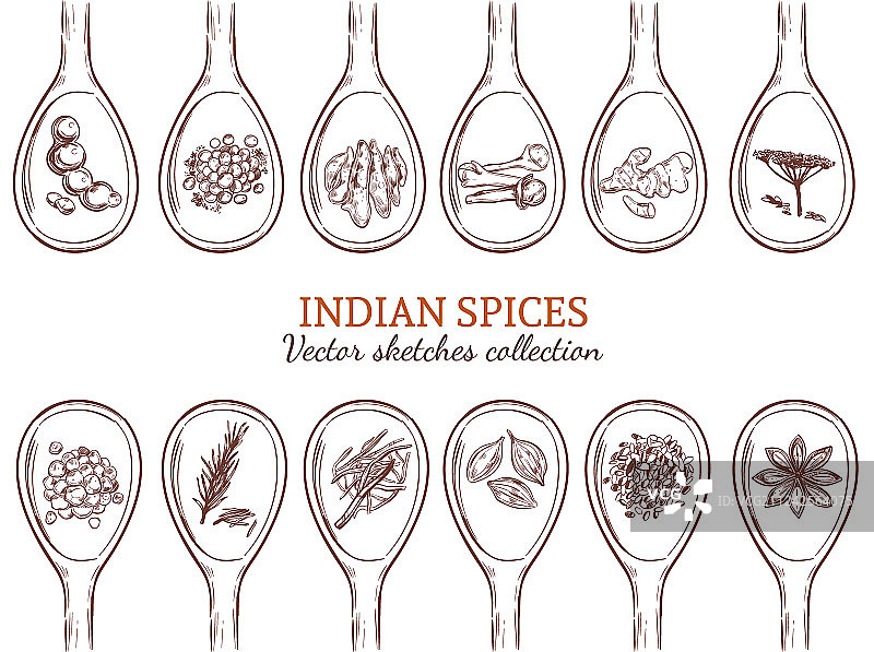 有机印度香料手绘图片素材
