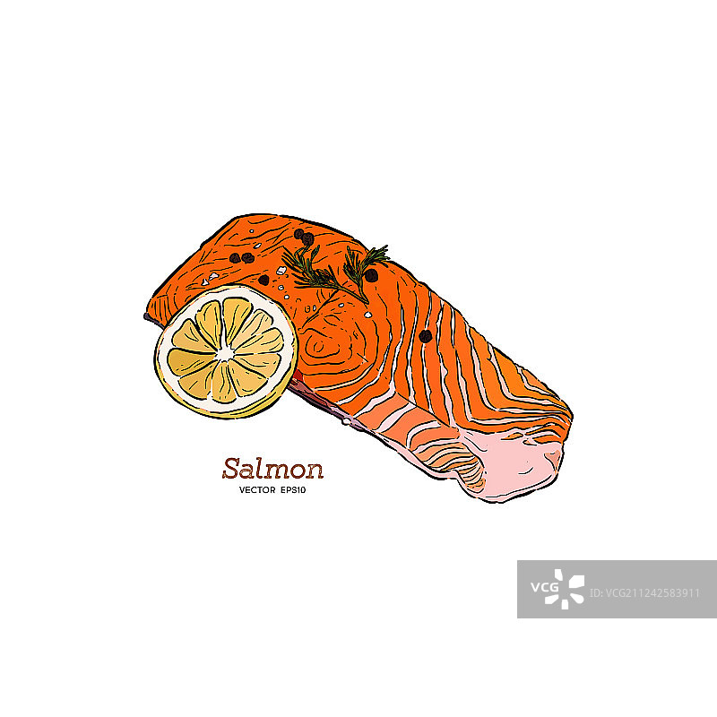 手绘三文鱼排图片素材