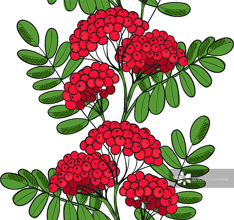 红色花楸树无尽装饰无缝图案图片素材