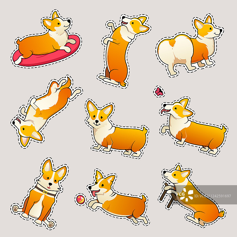 柯基犬萌宠合集图片素材