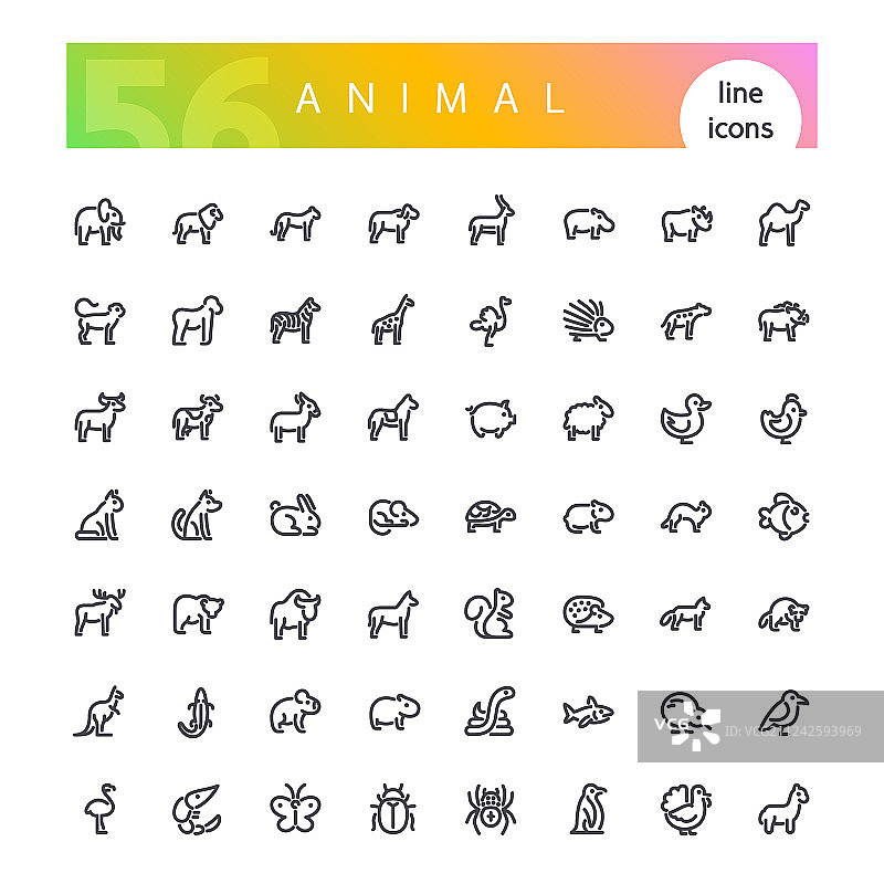 动物线性图标集图片素材