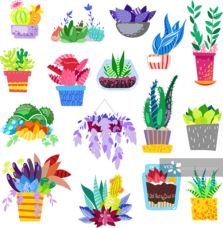 彩色盆栽植物图片素材