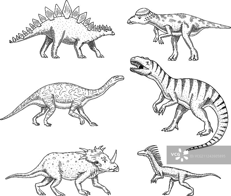 三角龙腕龙恐龙素材图片素材