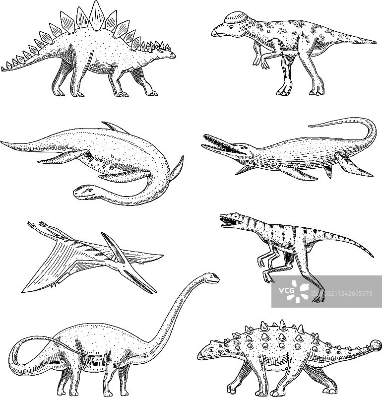 蛇颈龙沧龙腕龙图片素材