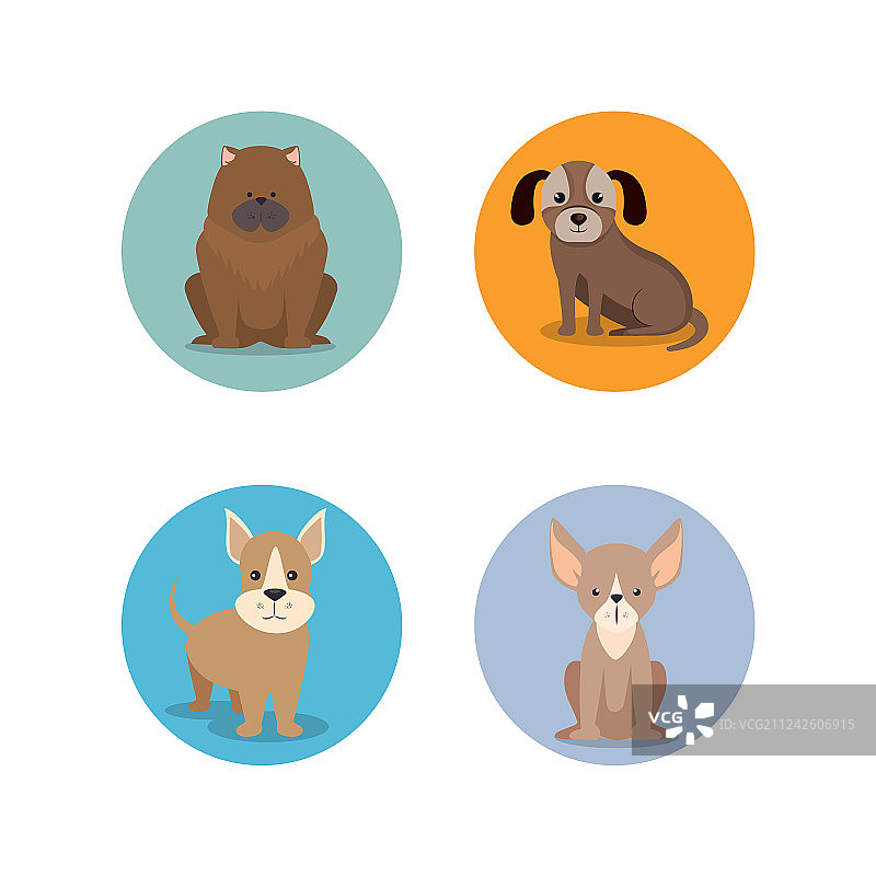 犬种群图片素材