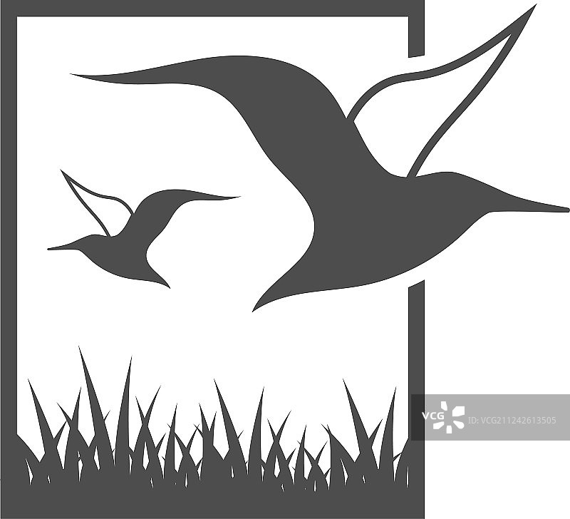 信天翁鸟类图形设计模板图片素材