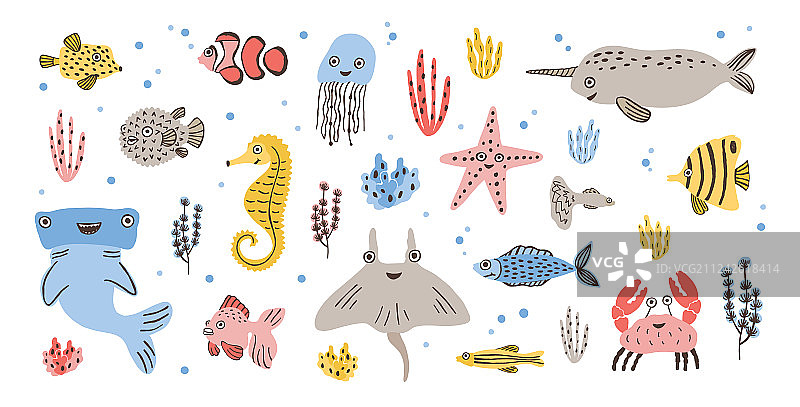 可爱海洋动物合集 - 独角鲸图片素材