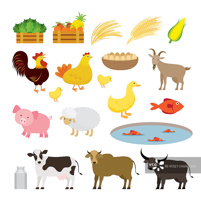 可爱的农场动物卡通套装图片素材