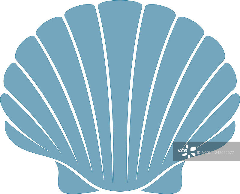 扇贝图片素材