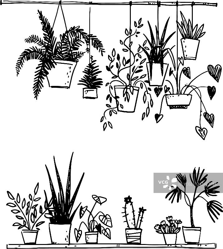 盆栽植物素描合集图片素材