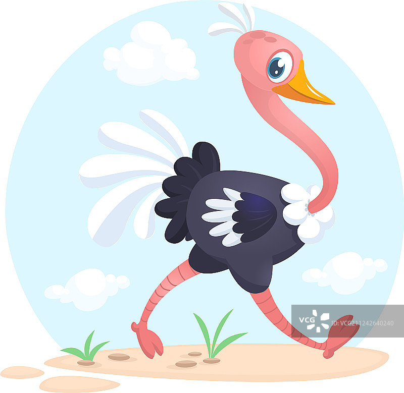 32号鸵鸟图片素材