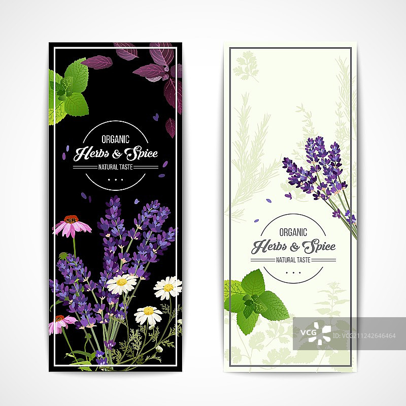 野生花卉和香料草本植物banner图片素材