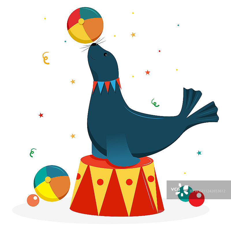 马戏团海狗在马戏团的架子上玩球图片素材