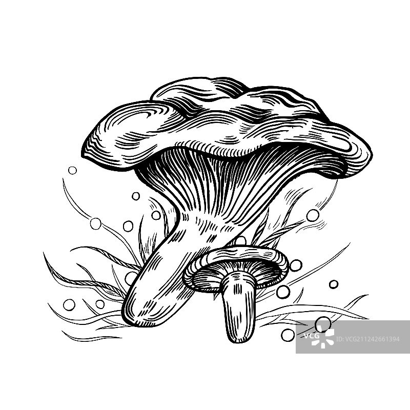 毒伞图片素材