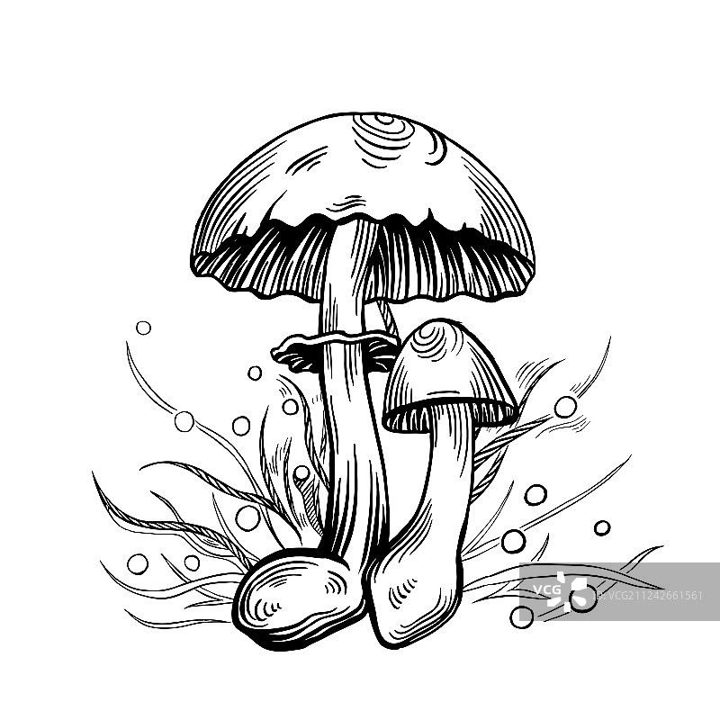 黄色染色蘑菇图片素材