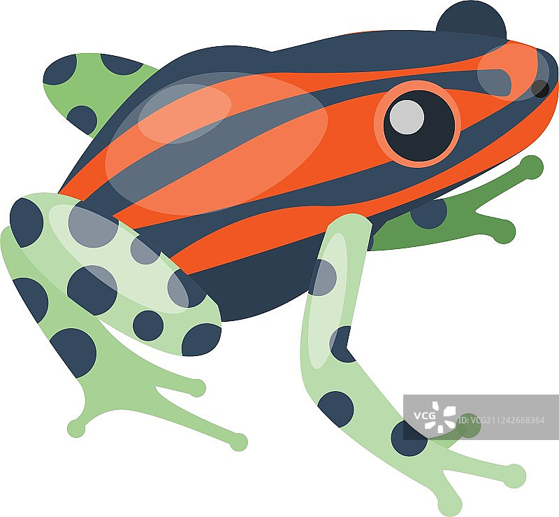 青蛙卡通热带动物图片素材