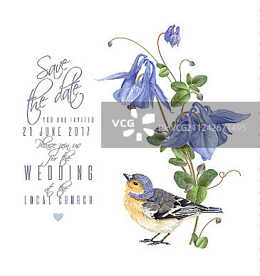 蓝色花鸟卡片图片素材