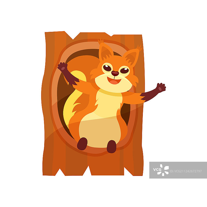 快乐的松鼠张开爪子坐着图片素材