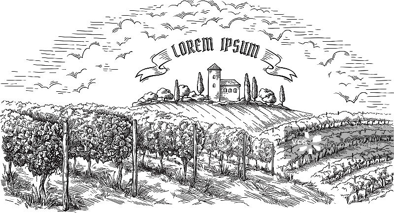 葡萄种植园丘陵树木云彩景观图片素材